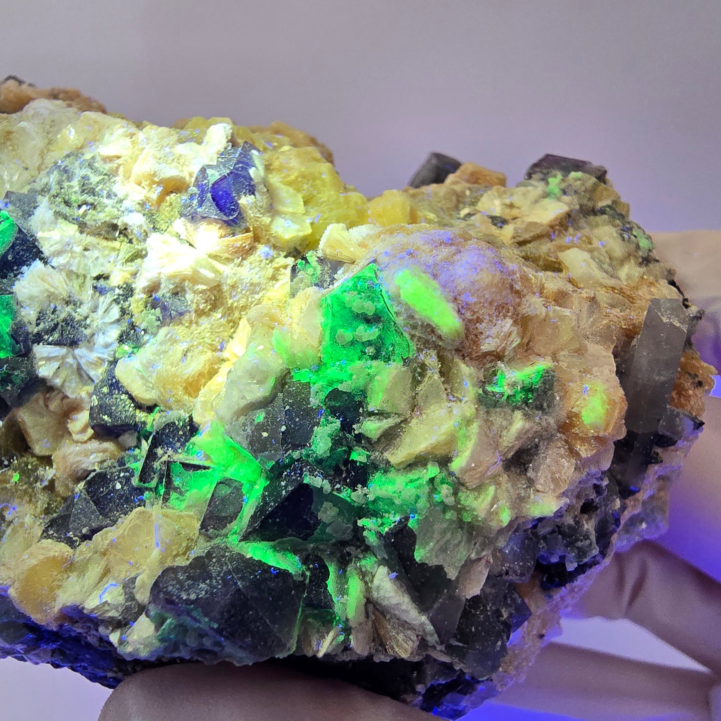 Fluorite XL Phantom, tourmaline schorl, quartz fumé muscovite sur matrice Erongo, Namibie 103*92*60mm #12554