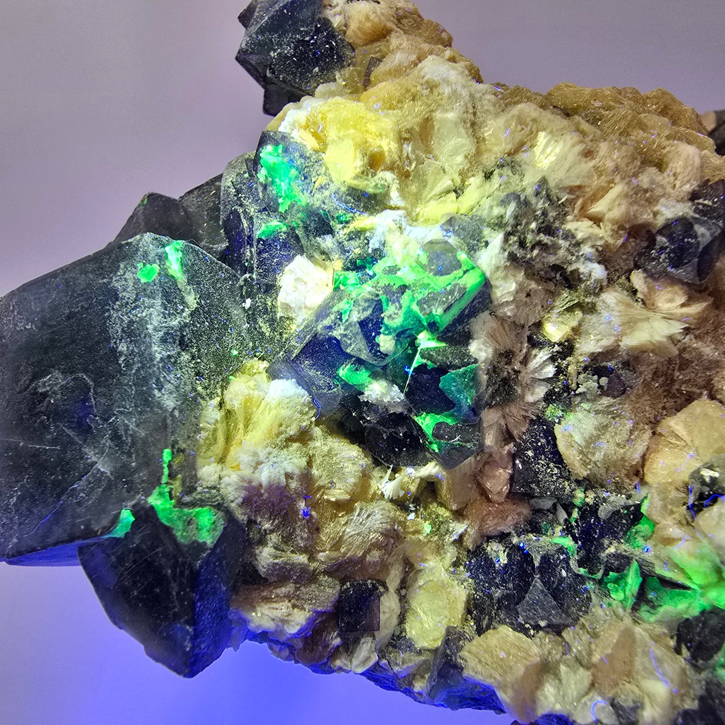 Fluorite XL Phantom, tourmaline schorl, quartz fumé muscovite sur matrice Erongo, Namibie 103*92*60mm #12554