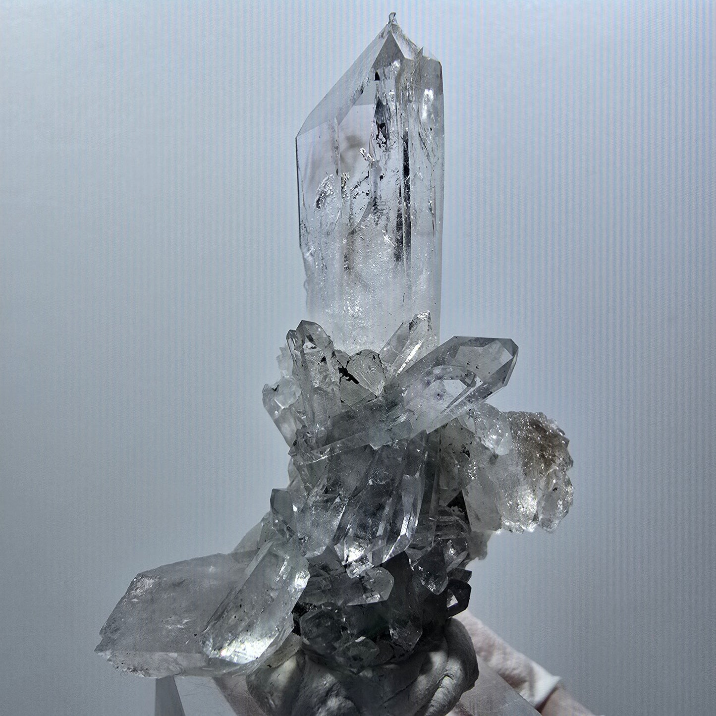 Phantom Amethyst, Lemurian Quartz Tier Streep Mine Goboboseb Namibia 60*48*23mm #12580