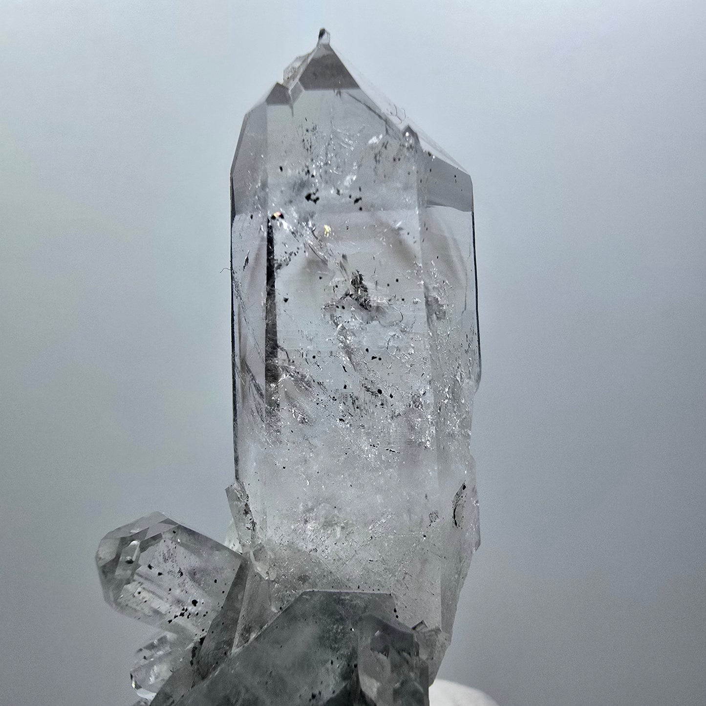 Phantom Amethyst, Lemurian Quartz Tier Streep Mine Goboboseb Namibia 60*48*23mm #12580
