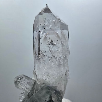 Phantom Amethyst, Lemurian Quartz Tier Streep Mine Goboboseb Namibia 60*48*23mm #12580