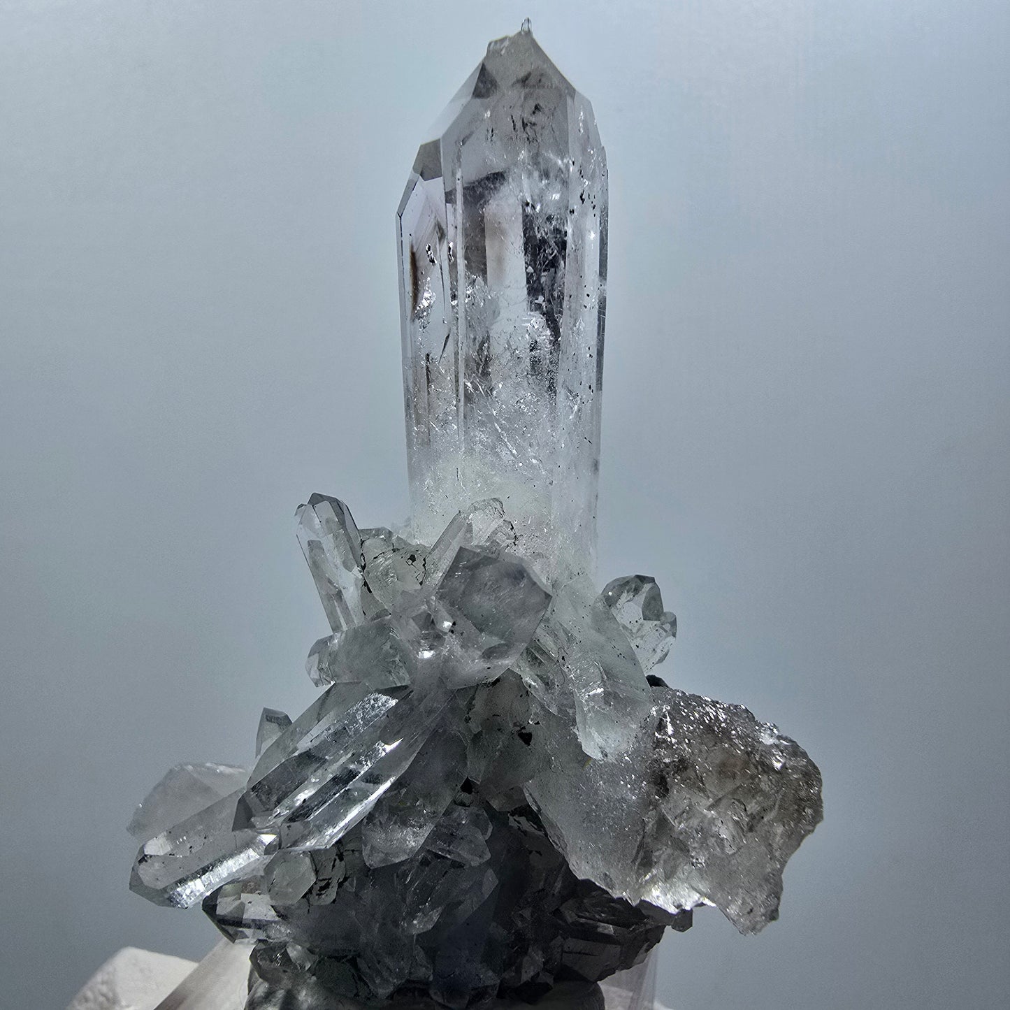Phantom Amethyst, Lemurian Quartz Tier Streep Mine Goboboseb Namibia 60*48*23mm #12580