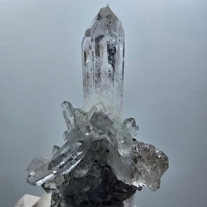 Phantom Amethyst, Lemurian Quartz Tier Streep Mine Goboboseb Namibia 60*48*23mm #12580