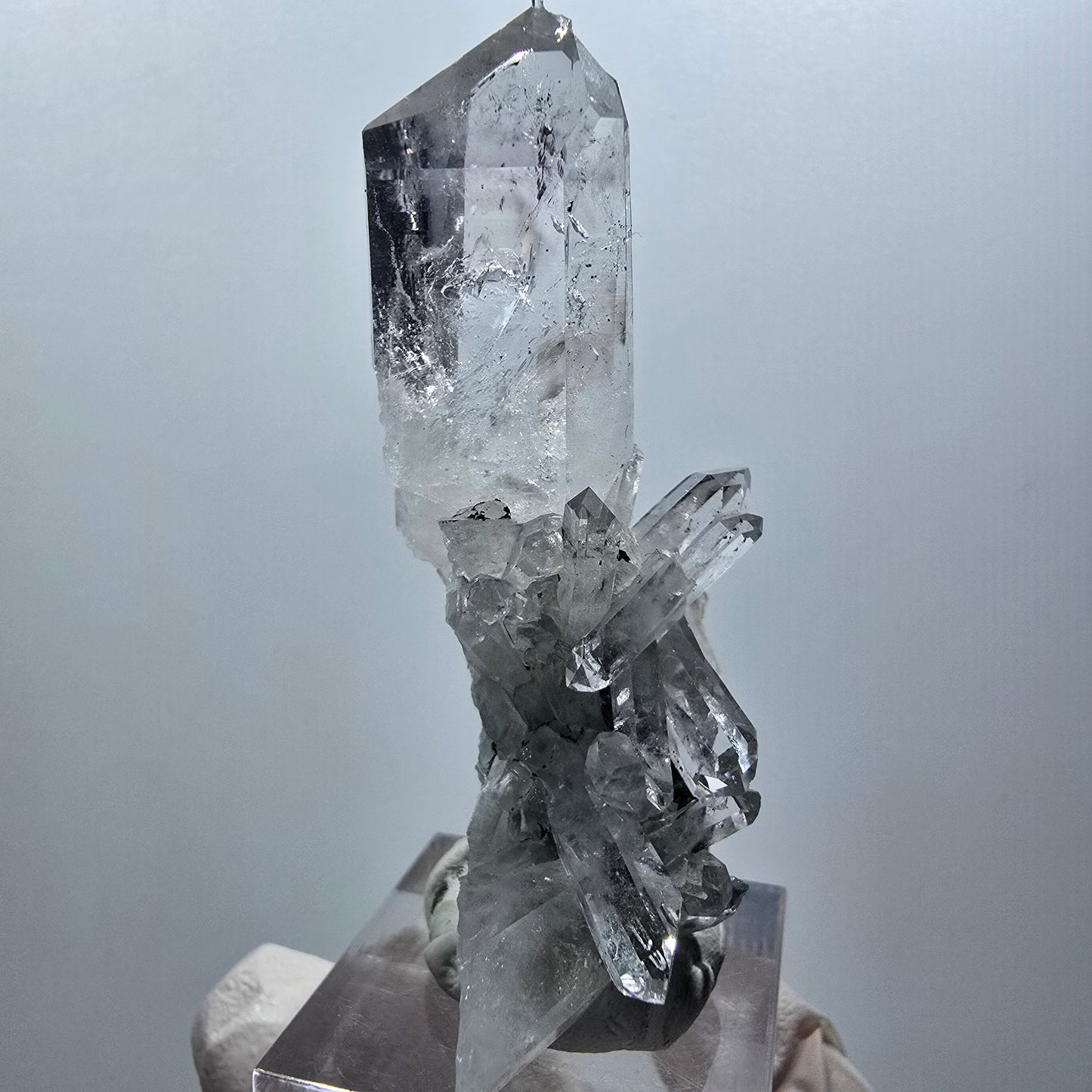 Phantom Amethyst, Lemurian Quartz Tier Streep Mine Goboboseb Namibia 60*48*23mm #12580