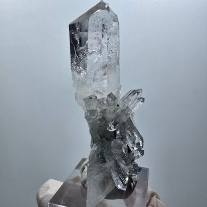 Phantom Amethyst, Lemurian Quartz Tier Streep Mine Goboboseb Namibia 60*48*23mm #12580