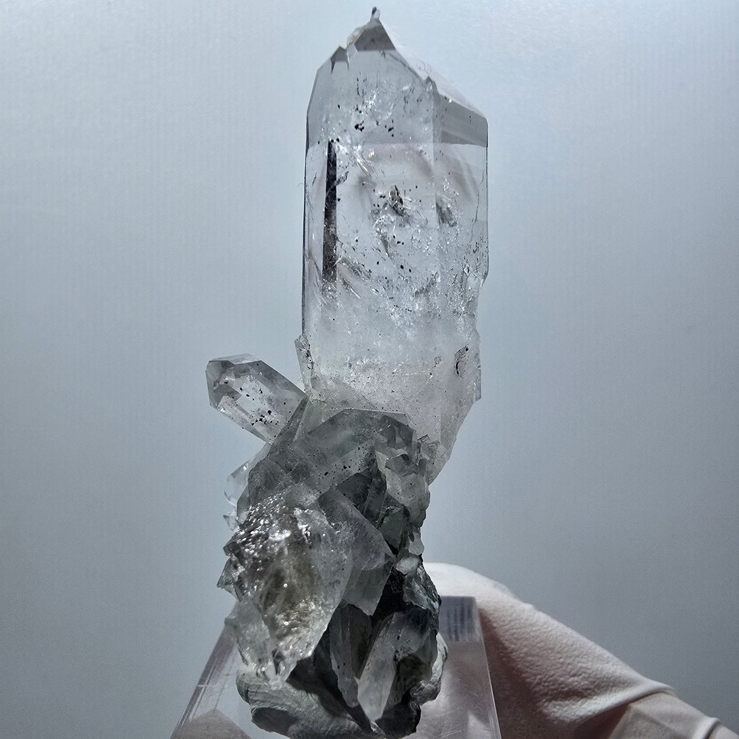 Phantom Amethyst, Lemurian Quartz Tier Streep Mine Goboboseb Namibia 60*48*23mm #12580
