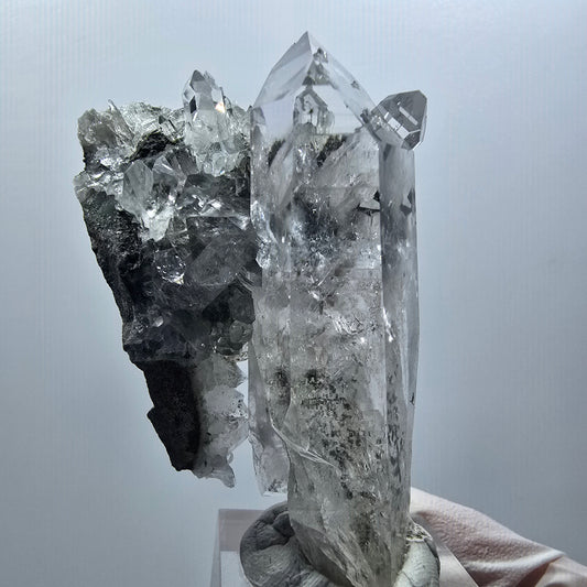 Lemurian Phantom Smoky Quartz on Matrix Streep Mine Goboboseb Namibia 63*41*22mm #12581
