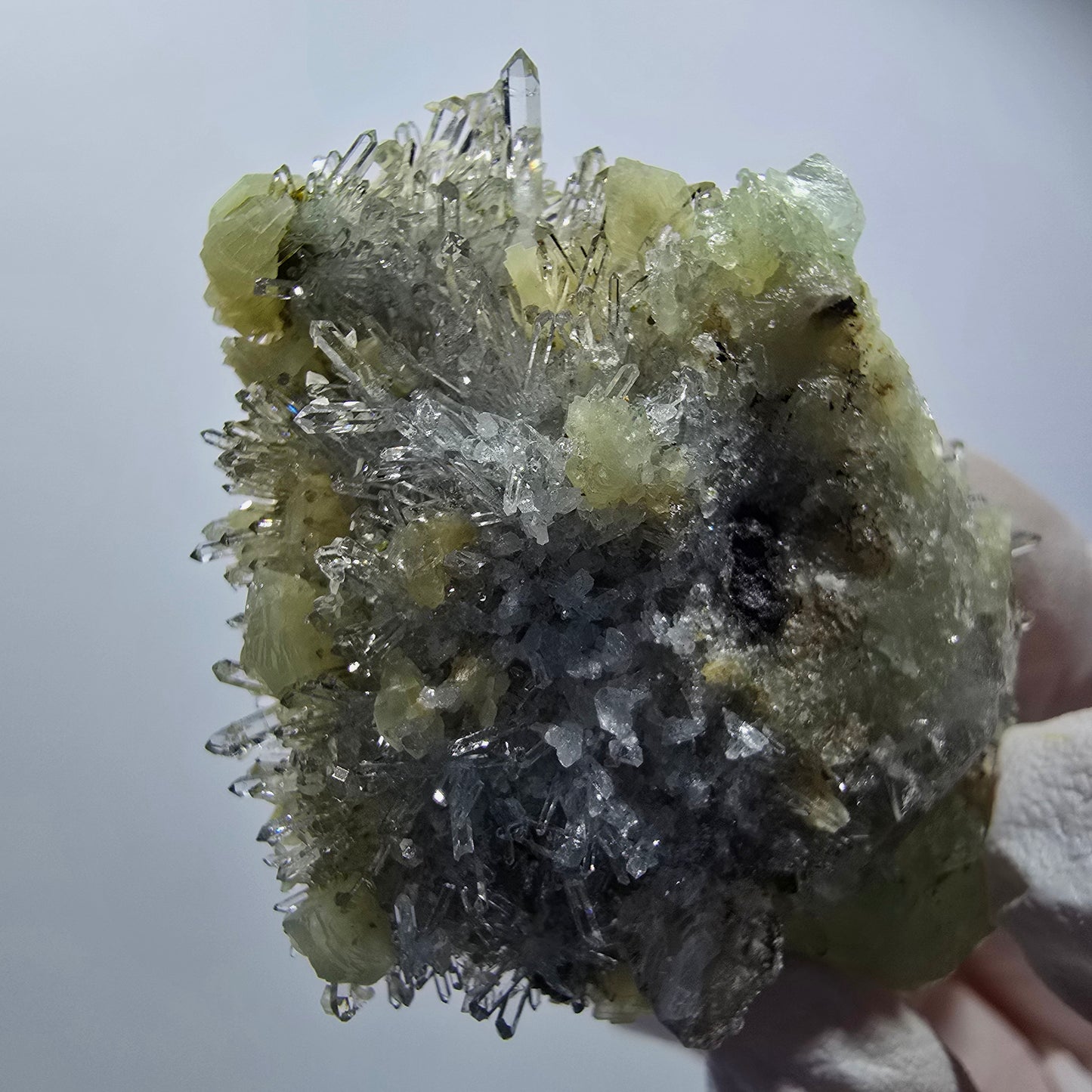 Seltene Starburst Quarz mit Prehnit Stufe Streep Mine Goboboseb, Namibia 48*39*21mm #12590