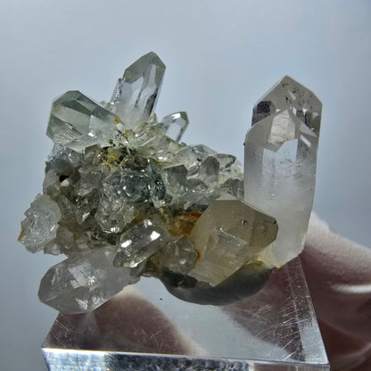 Starburst Quartz with Chlorite on Matrix Streep Mine Goboboseb, Namibia 33*33*23mm #12594