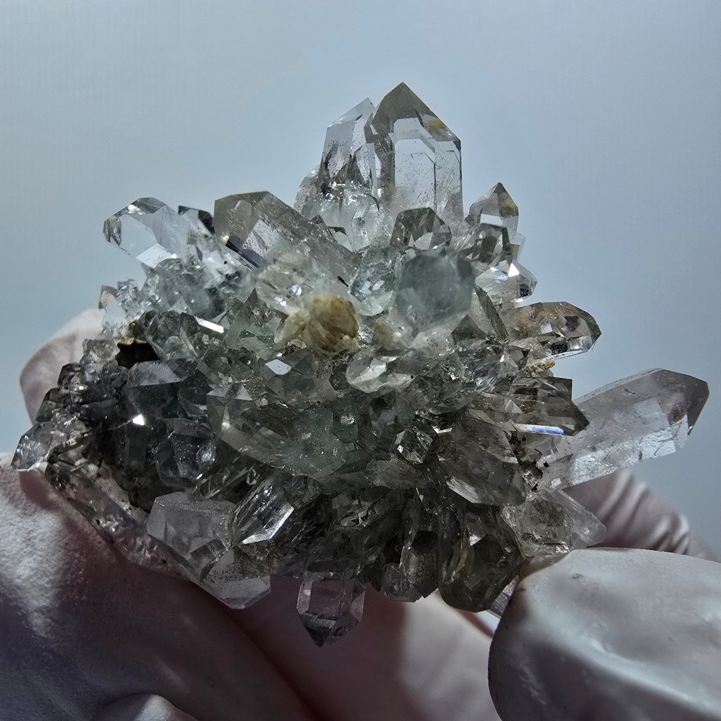 Starburst Quarz mit Hämatit, Chlorit, Prehnit auf Matrix Streep Mine, Namibia 45*31*27mm #12607