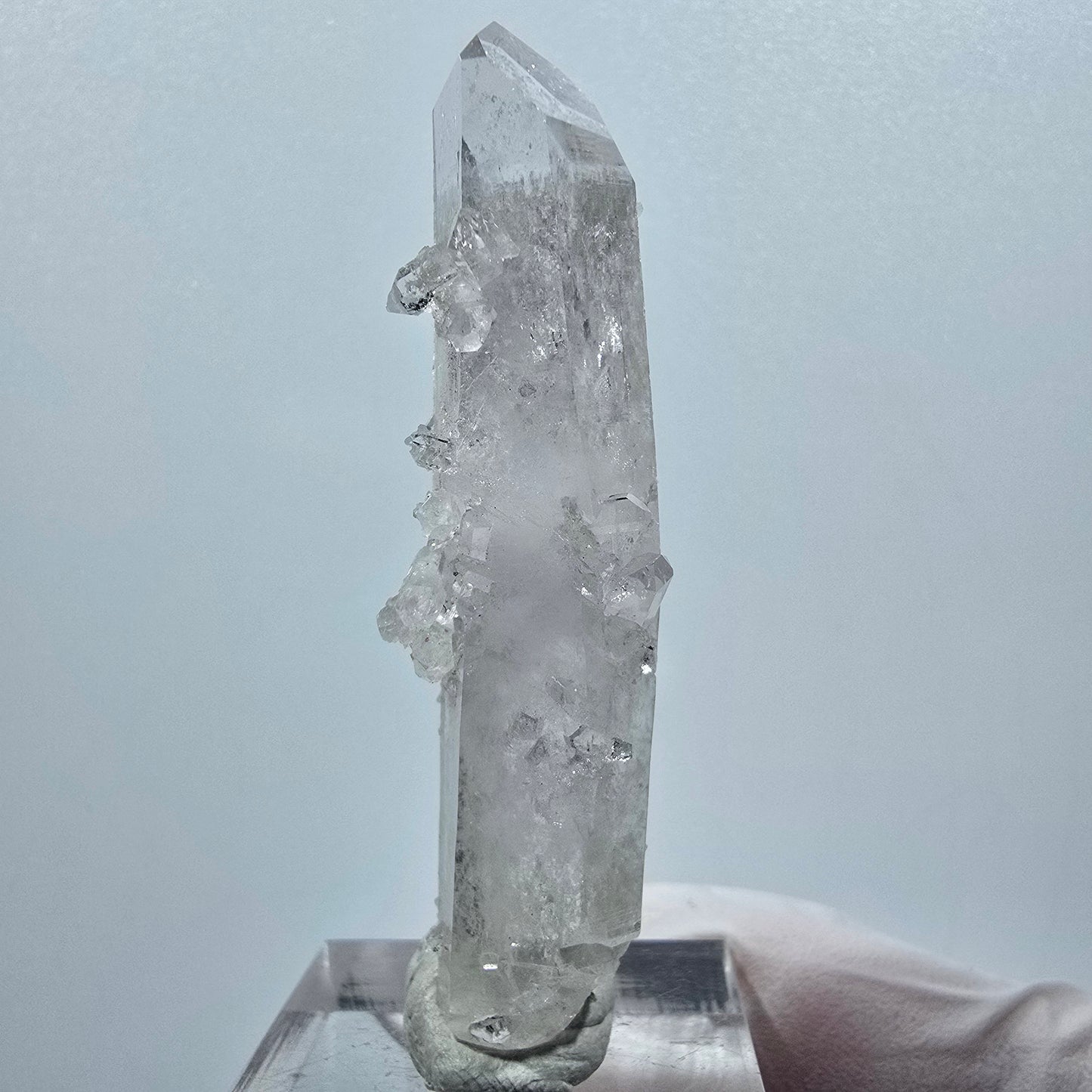 Quartz Lémurien biterminé avec prehnite de la mine de Streep, Goboboseb, Namibie 57*15*15mm #12633