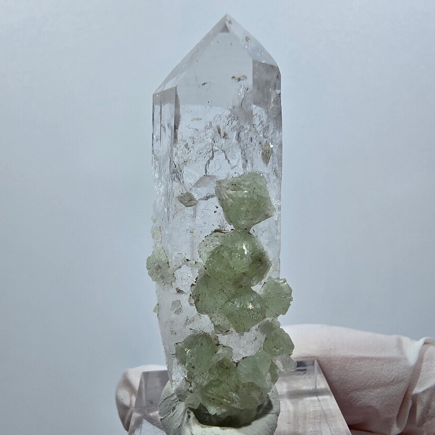 Lemurian Quartz with Prehnite Tip Streep Mine Goboboseb, Namibia 52*18*17mm #12638