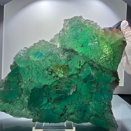 XXL Phantom Fluorite Cube Specimen, stepped, green Omehane, Namibia 200*180*80mm #12657