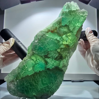 XXL Phantom Fluorite Cube Specimen, stepped, green Omehane, Namibia 240*102*60mm #12659