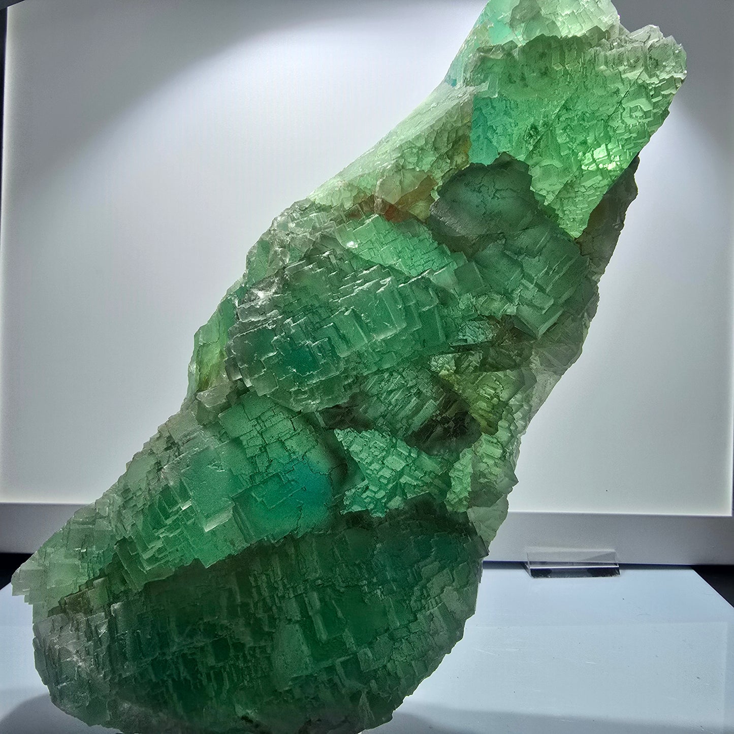 XXL Phantom Fluorite Cube Specimen, stepped, green Omehane, Namibia 240*102*60mm #12659