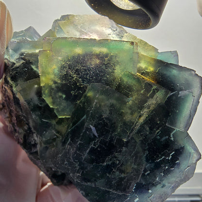 Large Phantom Fluorite Cube Specimen, parqueted Okorusu, Namibia 97*84*65mm #12662