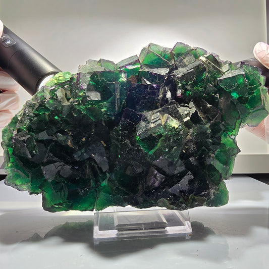 XXL Phantom Fluorit Würfel Stufe, parkettiert grün lila Okorusu, Namibia 201*123*47mm #12663