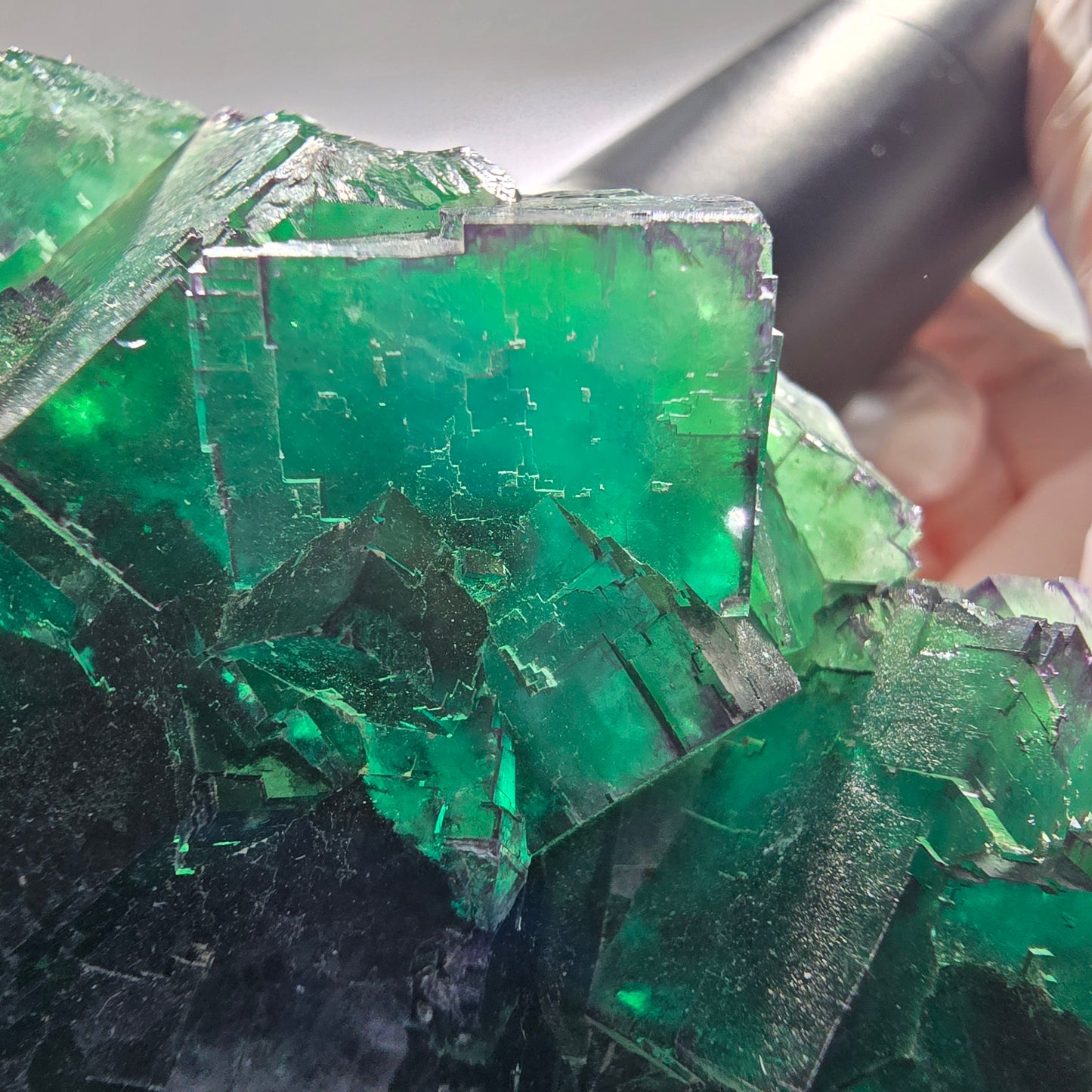 XXL Cube de fluorine fantôme, vert et violet, parcellaire, Okorusu, Namibie 201*123*47mm #12663