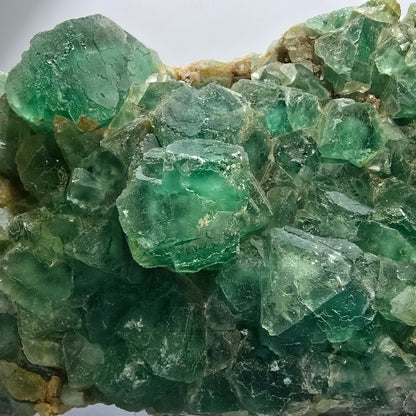 XXL Fantôme Fluorite Cube, plancher vert Okorusu, Namibie 210*123-60mm #12664