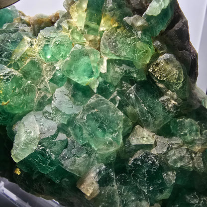 XXL Fantôme Fluorite Cube, plancher vert Okorusu, Namibie 210*123-60mm #12664