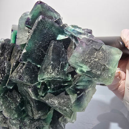XXL Phantom Fluorite Cube Stage, parkettiert grün lila Okorusu, Namibia 200*136*53mm #12666