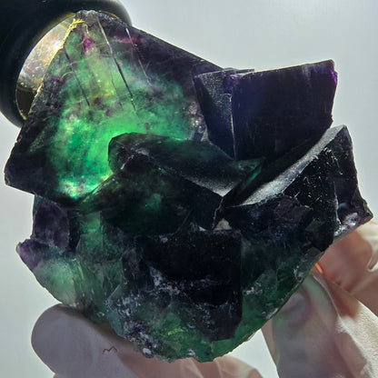 Rare Phantom Fluorite Cubes Specimen, Green Purple Okorusu, Namibia 69*61*45mm #12670
