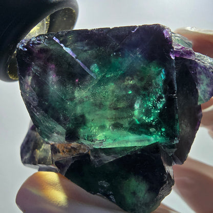 Rare Phantom Fluorite Cubes Specimen, Green Purple Okorusu, Namibia 69*61*45mm #12670