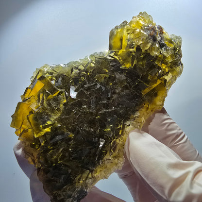 Fantôme Fluorite Cubes sur gangue, jaune Honey Pocket Okorusu Namibie 100*67*37mm #12671