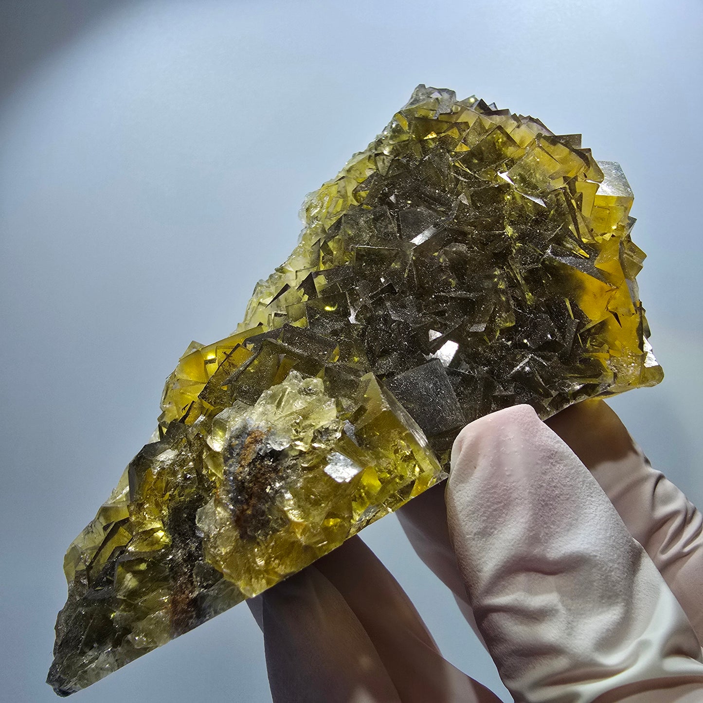 Fantôme Fluorite Cubes sur gangue, jaune Honey Pocket Okorusu Namibie 100*67*37mm #12671