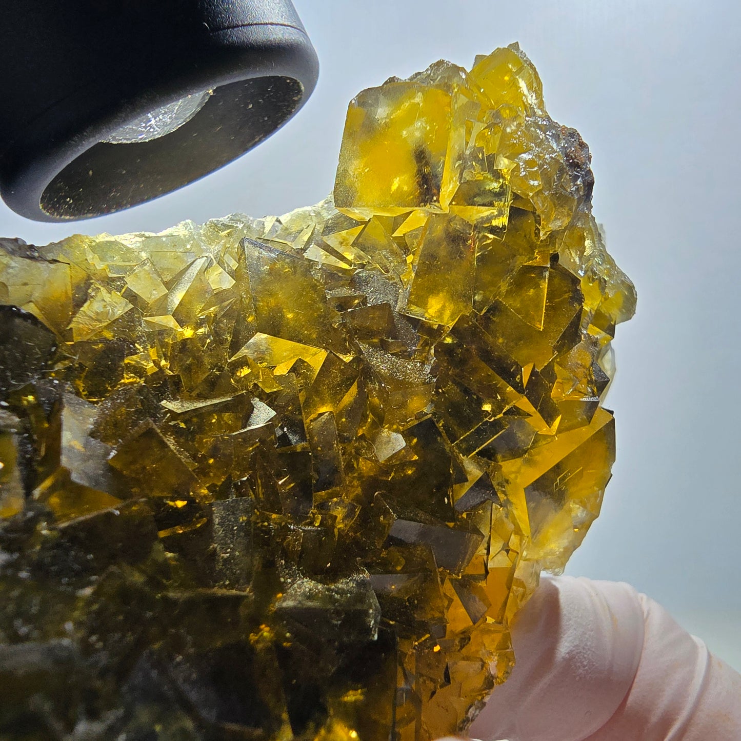 Fantôme Fluorite Cubes sur gangue, jaune Honey Pocket Okorusu Namibie 100*67*37mm #12671