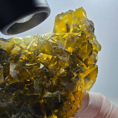 Fantôme Fluorite Cubes sur gangue, jaune Honey Pocket Okorusu Namibie 100*67*37mm #12671