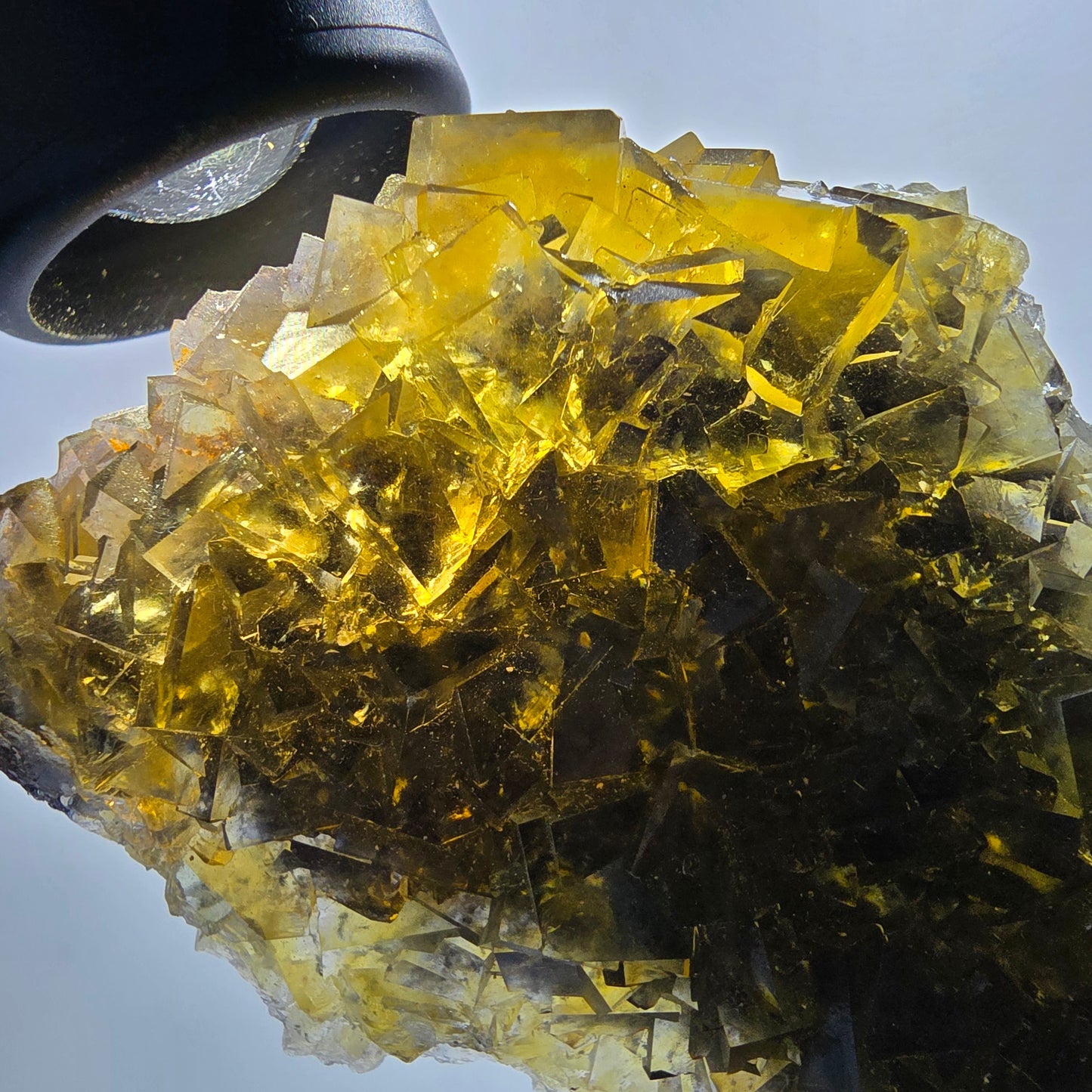Fantôme Fluorite Cubes sur gangue, jaune Honey Pocket Okorusu Namibie 100*67*37mm #12671