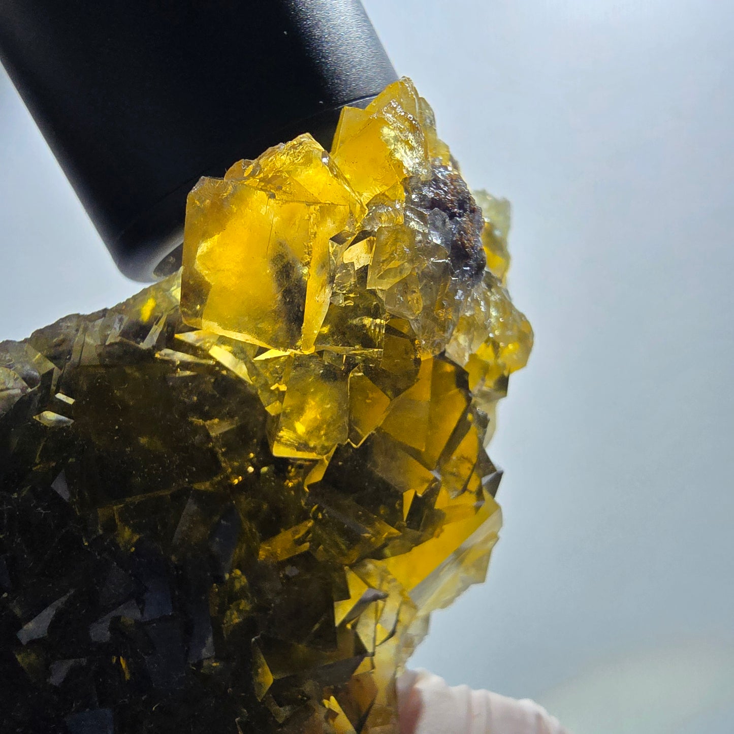 Fantôme Fluorite Cubes sur gangue, jaune Honey Pocket Okorusu Namibie 100*67*37mm #12671
