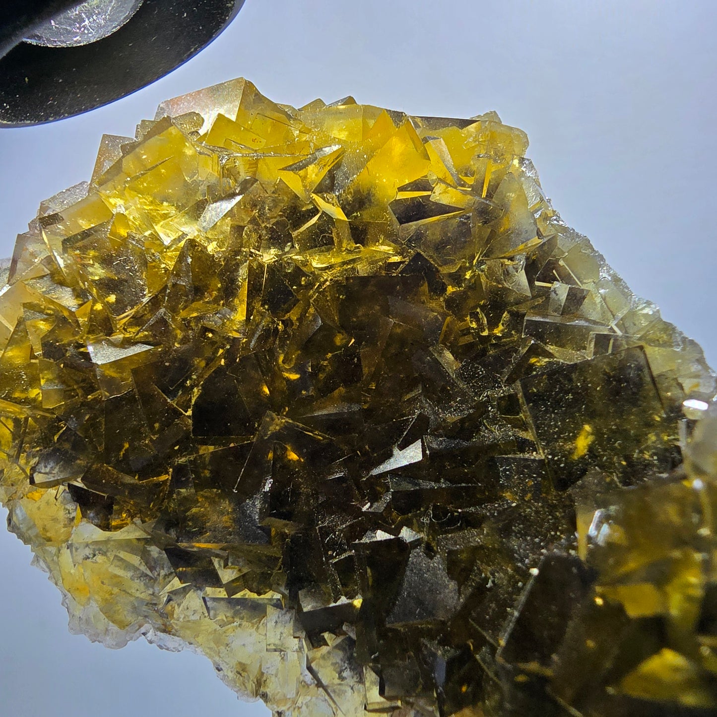 Fantôme Fluorite Cubes sur gangue, jaune Honey Pocket Okorusu Namibie 100*67*37mm #12671