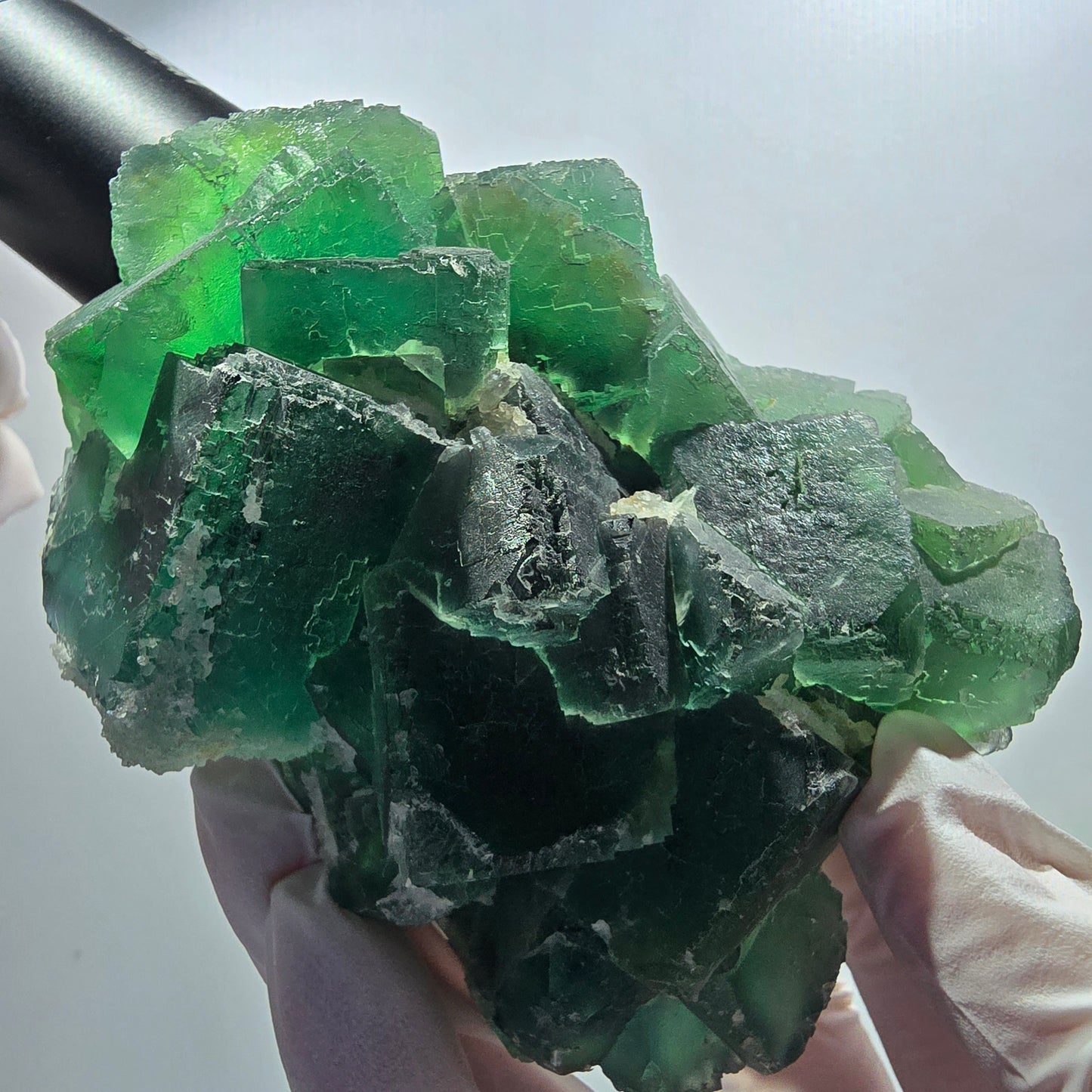 Grand fantôme de fluorine, matrice de quartz, inclusions vertes Okorusu Namibie 100*77*37mm #12673