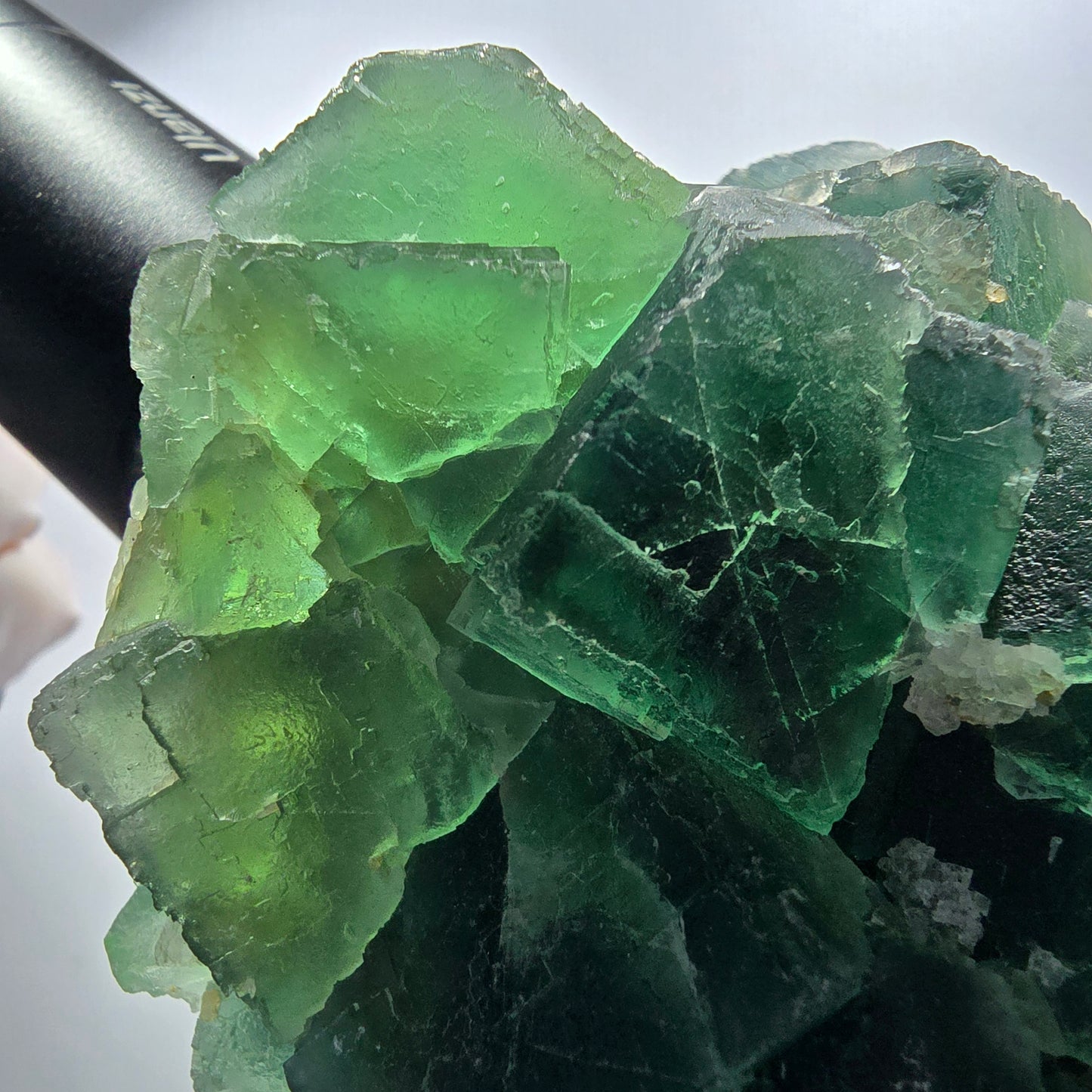 Grand fantôme de fluorine, matrice de quartz, inclusions vertes Okorusu Namibie 100*77*37mm #12673