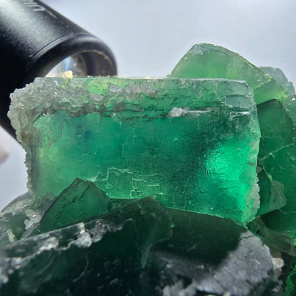 Grand fantôme de fluorine, matrice de quartz, inclusions vertes Okorusu Namibie 100*77*37mm #12673