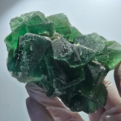 Grand fantôme de fluorine, matrice de quartz, inclusions vertes Okorusu Namibie 100*77*37mm #12673