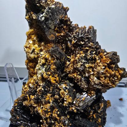 XXL Schorl Tourmaline, Muscovite Specimen Erongo, Namibia 191*123*109mm #12680
