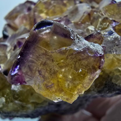 Grande étagère à cubes de fluorite fantôme, jaune violet Okorusu, Namibie 115*86*55mm #12683