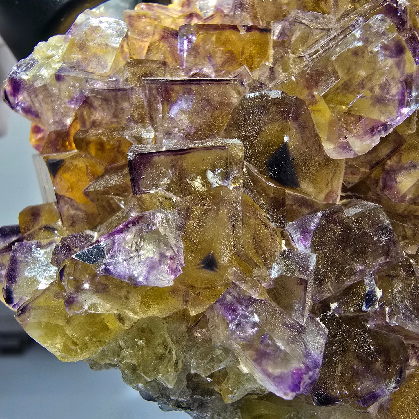 Grande étagère à cubes de fluorite fantôme, jaune violet Okorusu, Namibie 115*86*55mm #12683