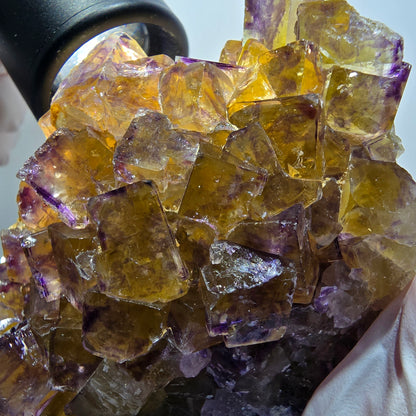 Grande étagère à cubes de fluorite fantôme, jaune violet Okorusu, Namibie 115*86*55mm #12683
