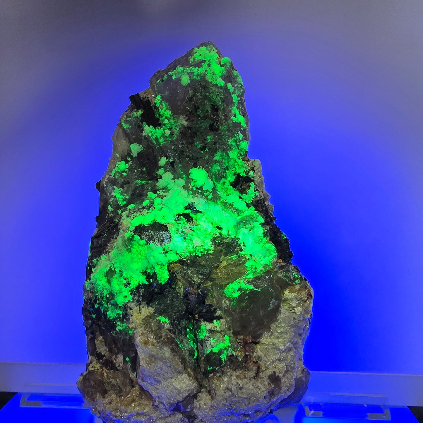 Quartz fumé XXL, Fluorite, Tourmaline schorl, Hyalite, Muscovite Erongo, Namibie 226*125*90mm #12685