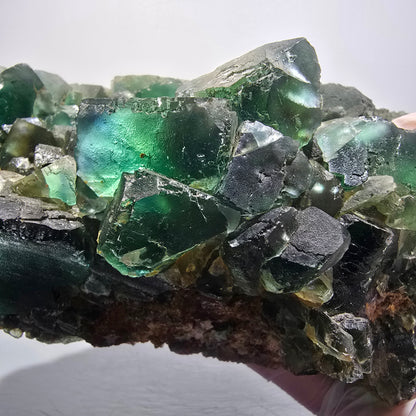 XXL Phantom Fluorite Cube Specimen, Green Tiled Okorusu, Namibia 173*123*80mm #12688
