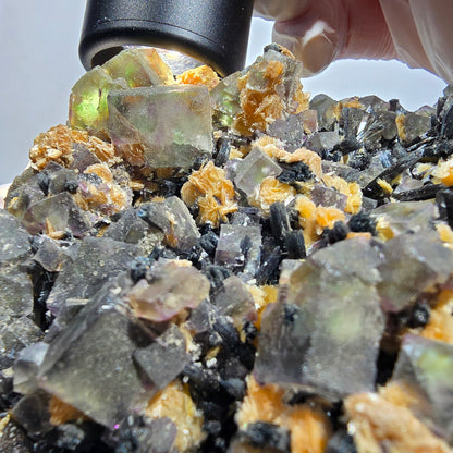 XXL Fluorite fantôme multicolore, Tourmaline schorl, Muscovite sur gangue Erongo, Namibie 151*86*131mm #12689