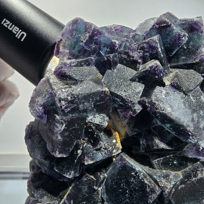 XXL Phantom Fluorite Cube Specimen Blue Purple Butterfly Pocket, Okorusu, Namibia 160*111*82 #12693