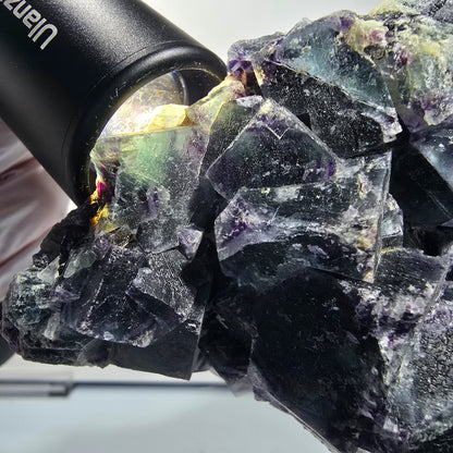 XXL Phantom Fluorite Cube Specimen Blue Purple Butterfly Pocket, Okorusu, Namibia 160*111*82 #12693