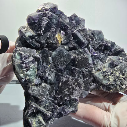 XXL Phantom Fluorite Cube Specimen Blue Purple Butterfly Pocket, Okorusu, Namibia 160*111*82 #12693