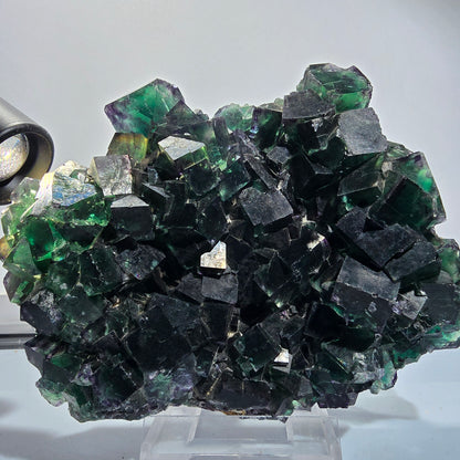 XXL Cube de fluorine fantôme, vert violet Okorusu, Namibie 139*114*46mm #12694