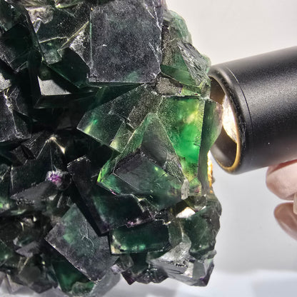 XXL Cube de fluorine fantôme, vert violet Okorusu, Namibie 139*114*46mm #12694